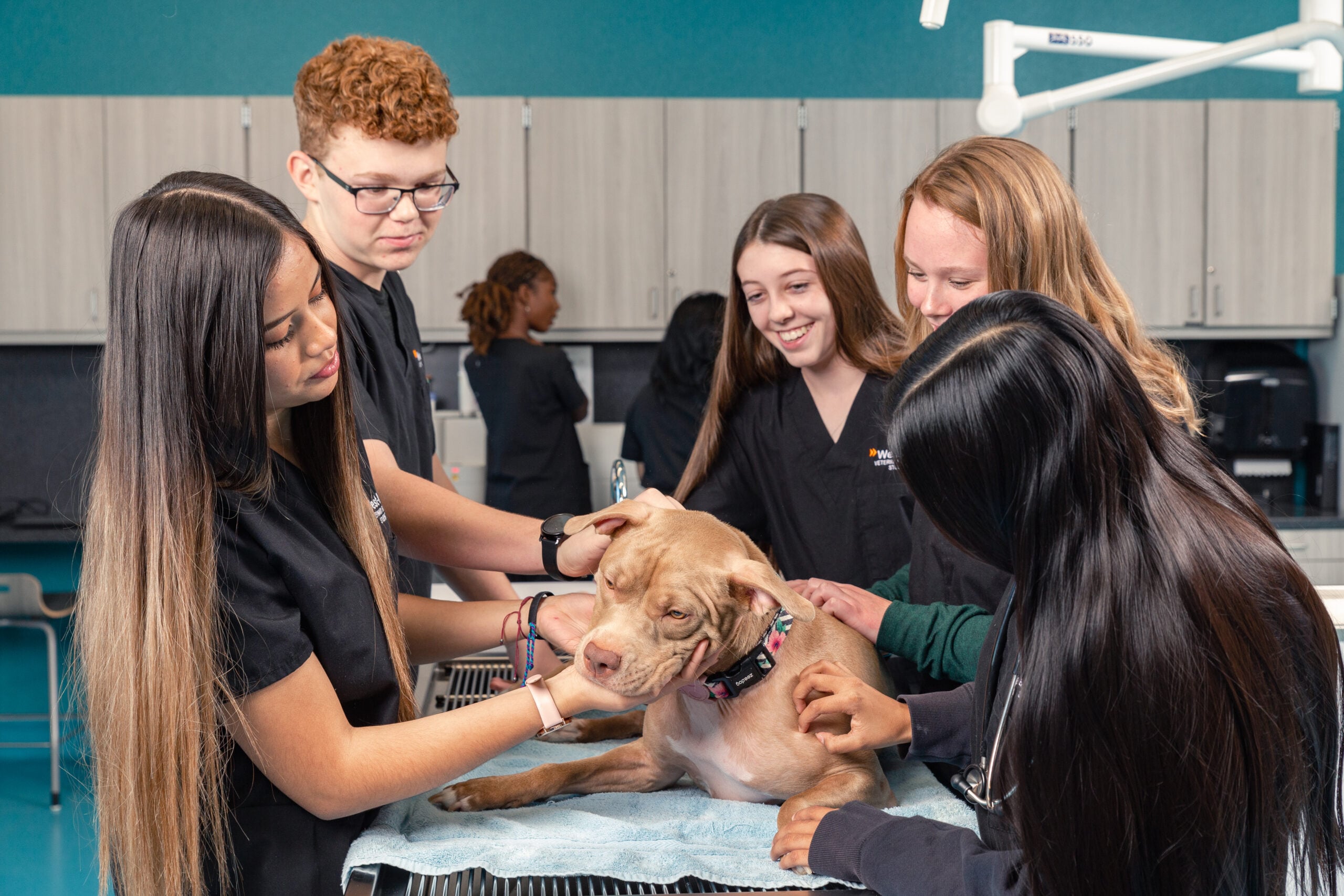 West-MEC veterinarian students petting a dog