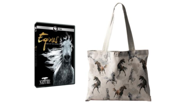 NATURE: Equus (Program DVD + Horse Tote)