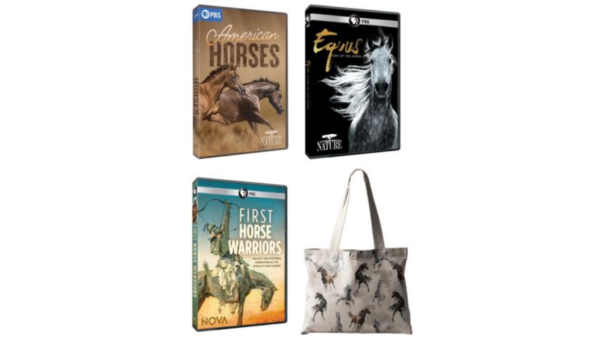 Nature - American Horses - 3 DVDs + Horse Tote