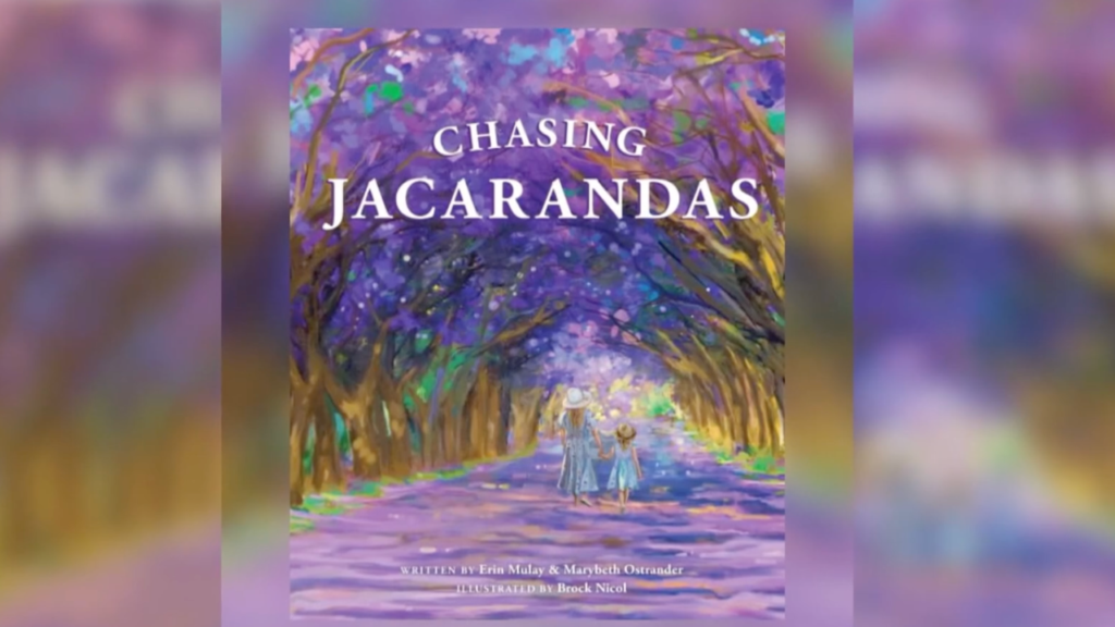 chasing jacarandas book cover