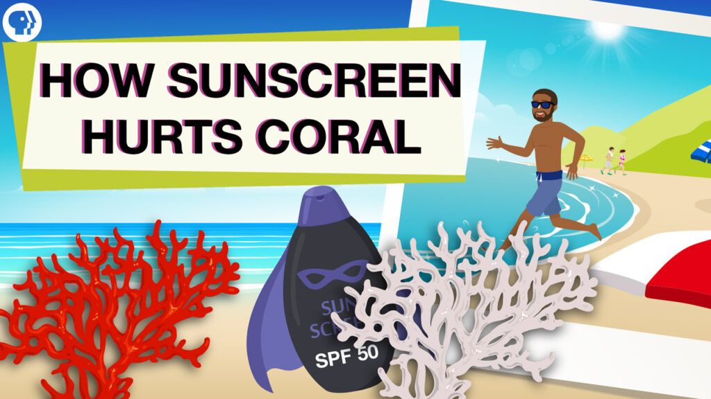 A graphic with coral reefs and text reading: How sunscreen hurts coral reefs