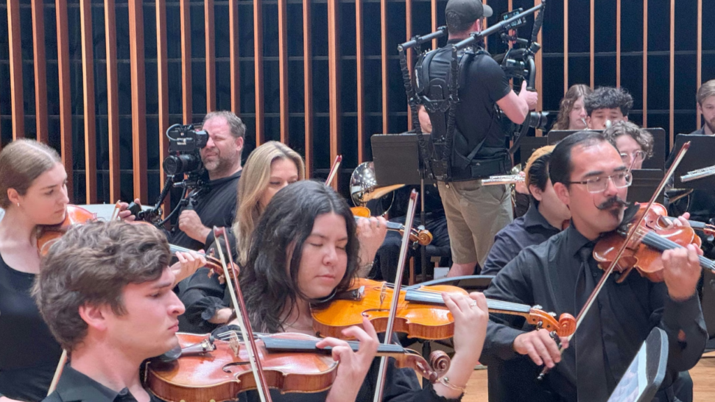 a group of violinists