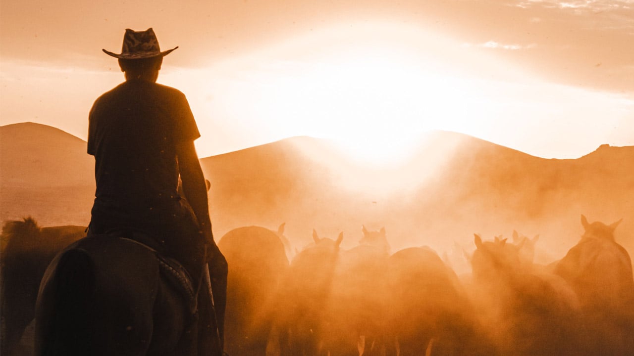 A cowboy rides a horse into the sunset
