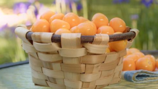 Daniel Lizarralde Woven Basket - Misc