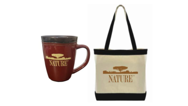 Nature - Sesame Street and the Great Elephant Adventure - Mug + Tote